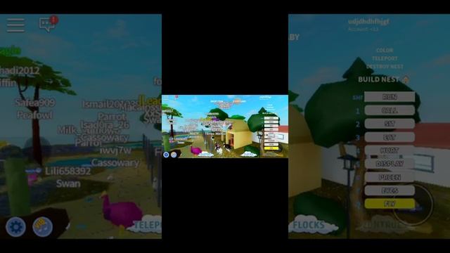 Играем роблокс. Симулятор птиц для детей смотреть онлайн