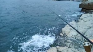 ловля ставриды в черном море