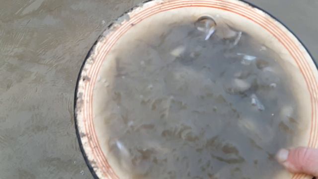 малёк