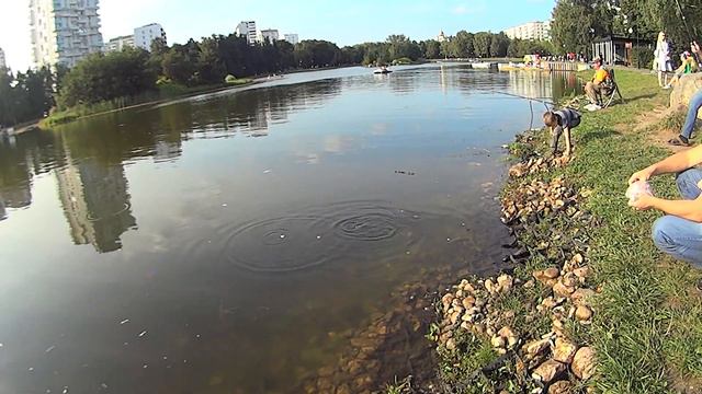 Прогулка в парке Ангарские пруды смотреть онлайн