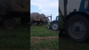 Сергей Золотарёв грузит рулоны сена самодельным погрузчиком на тракторе МТЗ 80