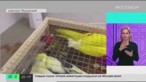 Телеканал «Москва 24», программа «Новости», 24.04.2024