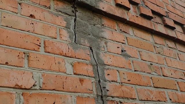 Сбежавшие из улья соседей пчёлы, решили поселиться в стене нашего дома. смотреть онлайн