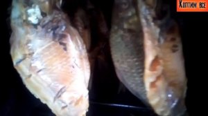 Рыба холодного копчения в домашних условиях. Копчение белого амура.