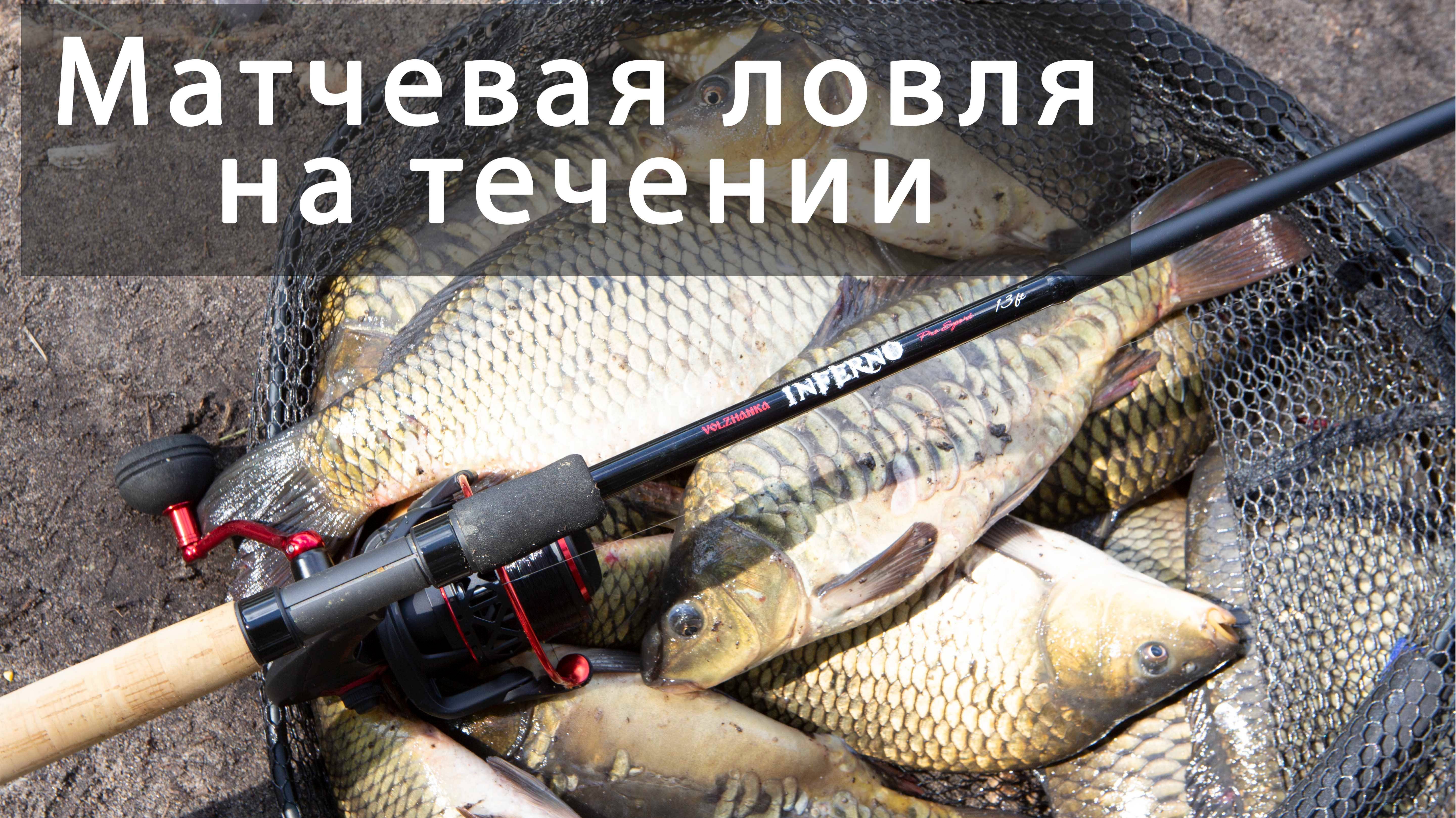 Ловля на матчевую снасть на течении