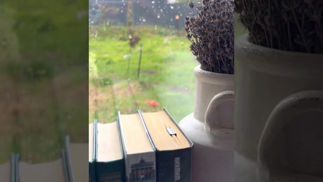 Дом на Лебяжьей горе. Сдается всем желающим. Рощинский хутор. смотреть онлайн