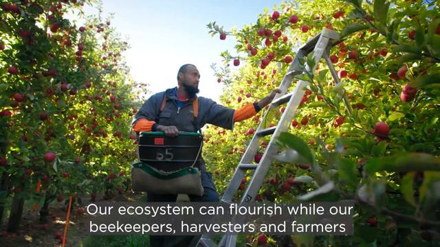 Creating a sustainable ecosystem in New Zealand смотреть онлайн