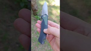 Рыба Паб в природе