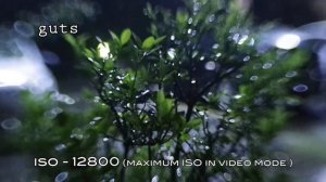 Pentax K1 + Lensbaby Composer Pro / Sweet 35
