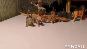 Wild Cats.??? Collection of figures  / Дикие кошки.?? 1 часть