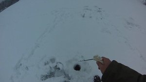 Ловля окуня зимой на блесну. Малый гешель Темнышева 35мм. Ромб Деятеля 45мм