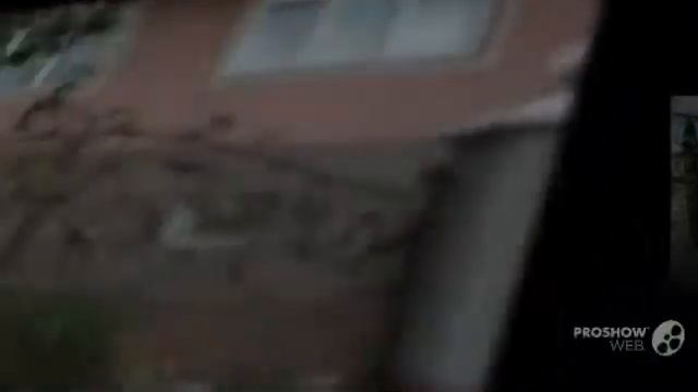 Кованые ворота для дома. Эксклюзивный дизайн!