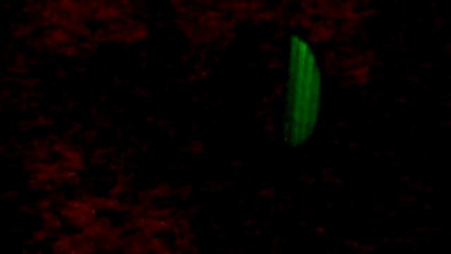 Проверка плоского зеркала смотреть онлайн