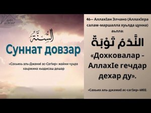 46- хьадис || «Сахьих аль-джамиI ас-сагIир»