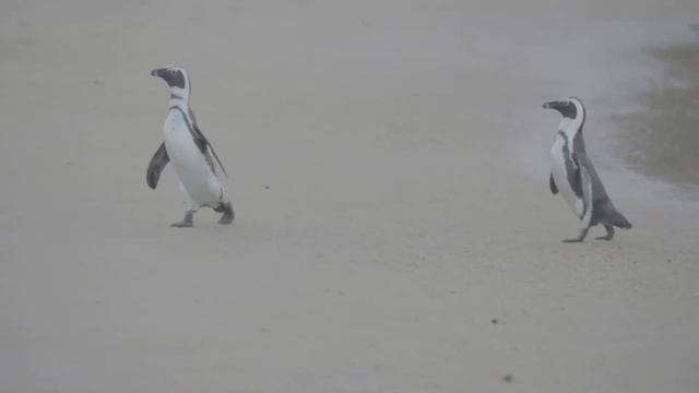 Денежная мантра в Полнолуние смотреть онлайн