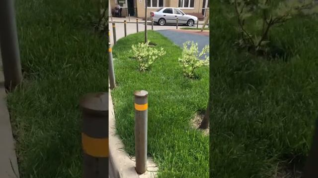 12 июля 2022 г. смотреть онлайн