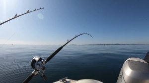 Рыбалка морская Владивосток Sea fishing Владивосток 6 октября 2019 камбала, Бычки