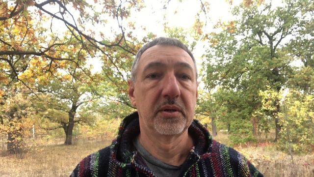 Человеческие отношения