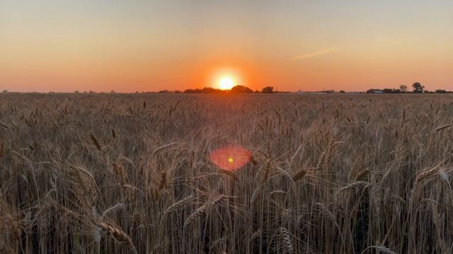 ИСТОРИЯ ПРО МАМОНТОВ. ВЛИЯНИЕ ЖЕНЩИНЫ НА МУЖЧИНУ. ЗАКАТ. смотреть онлайн