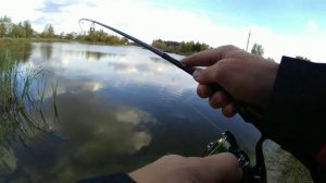 Ловля Трофейного окуня на озере. Крупный осенний окунь на джиг. Береговой джиг.