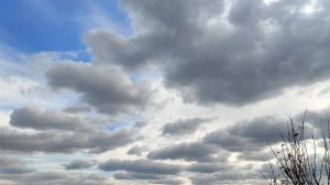 5 верных признаков, что женщина испытывает к вам симпатию