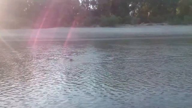 Река Тобол на правый берег смотреть онлайн