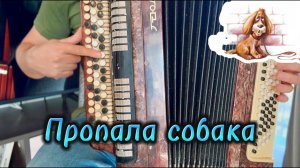 Пропала собака (Владимир Шаинский) Разбор на баяне