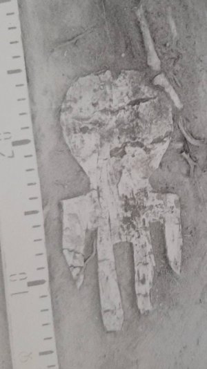 Головченко Н.Н. Берестяной идол Новотроицкого некрополя