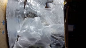 Организация дополнительной подсветки для рассады из Фольги