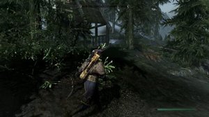 Скайрим, броня напарников,