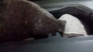 Резистор печки Шкода Фабия 2, замена.