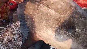 Я Бы и Сам Не Поверил, Но Это Видео Удалось Снять На Камеру-3