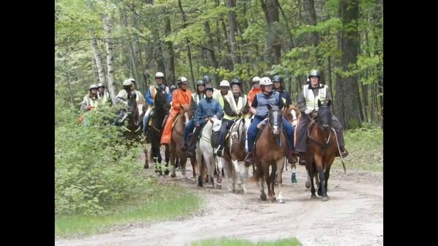 MUSTANG III slideshow смотреть онлайн