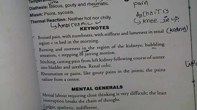 Berberis vulgaris for kidney pain ,gall stone,urinary problem смотреть онлайн