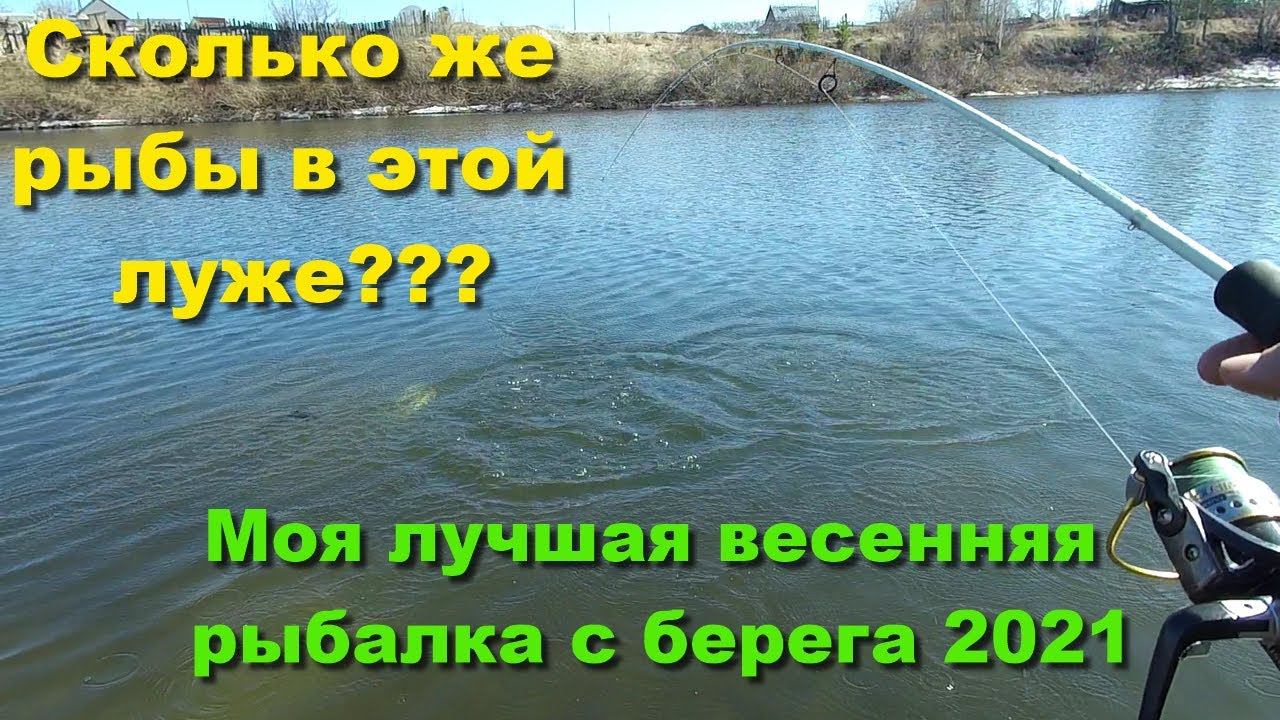 Сколько же рыбы в этой луже??? Моя лучшая весенняя рыбалка с берега 2021 / HitFish Remol /