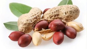 Продукты с высоким содержанием триптофана. Как повысить настроение?