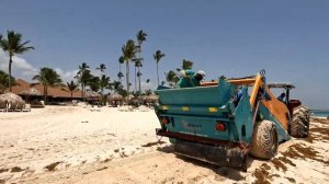 Recorriendo Playa Arena Gorda ¿Cuánto Sargazo hay en las Playas?