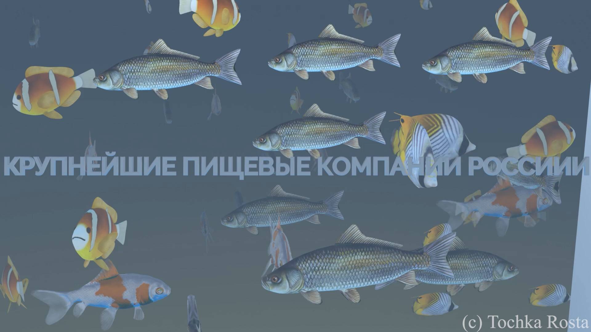 Рейтинг крупнейших пищевых компаний
