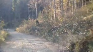 Спуск Ликицары, Перечинский район Закарпатье 2