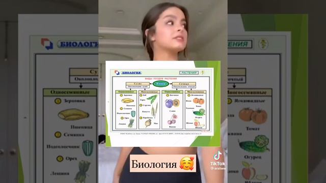 Шпоргалки на 6 класс #шпоры #рек #эстетика #рекомендации #школа