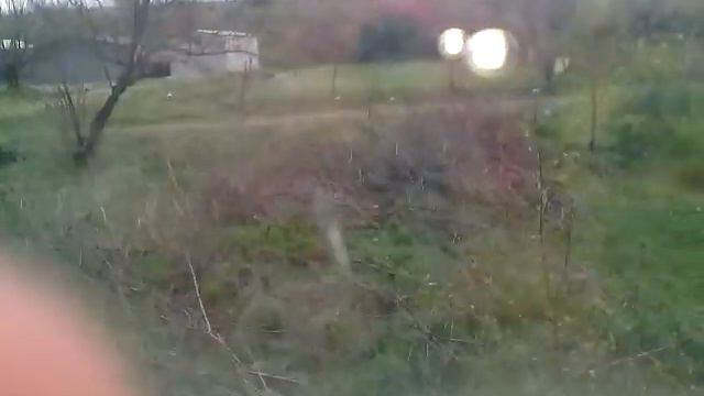 Мой кот притворяется что спит :) смотреть онлайн