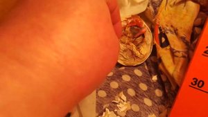 Гусёнок не хочет вылупляться, вторые сутки сидит в яйце.