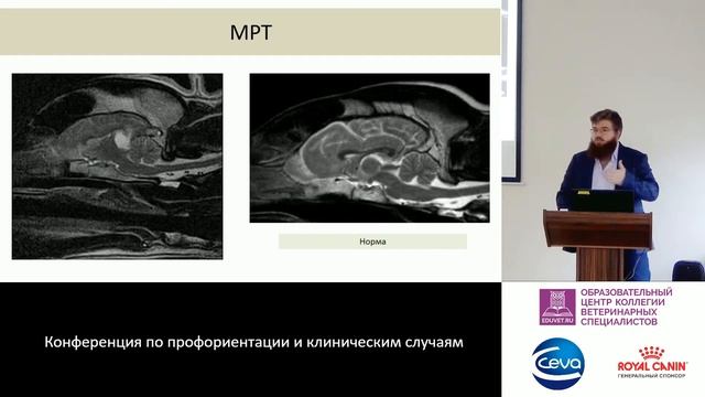 12 - Копытов К.Г. - Нейровизулизация смотреть онлайн