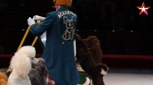 «Легенды Цирка с Эдгардом Запашным» - №26 - Собаки Ермакова