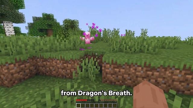 10 AMAZING Forge mods for Minecraft, 1.19.2! смотреть онлайн