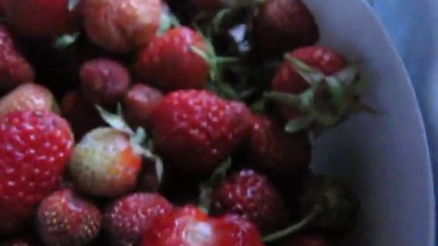 Моя клубника.Фестивальный сорт.