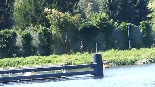 Samsung smart camera WB50F zoom смотреть онлайн