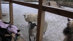 Отель Hilton Garden Inn Moscow New Riga 4*