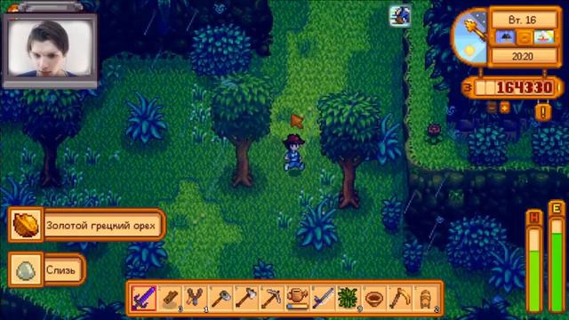 Нашёл Орехи? Запад острова Гайд | Stardew Valley 1.5 Запад Имбирного острова. смотреть онлайн