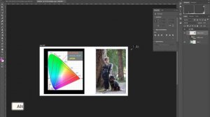 Adobe Photoshop №2 (Настройка и первичная обработка)